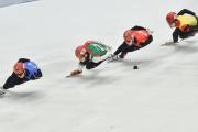 -关于短道速滑比赛速度惊人，实现冠军梦想的信息