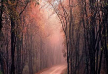 -热刺惨遭淘汰出局，遗憾告别欧冠赛场