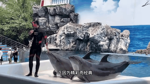 传奇神级较量再现，令人瞠目结舌精彩绝伦的简单介绍